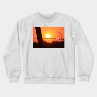 Bright Orange  Fence Line Sunset Crewneck Sweatshirt